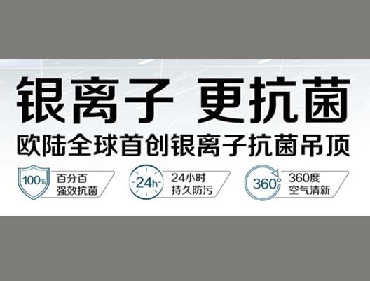 歐陸銀離子抗菌吊頂，為您營造健康生活空間